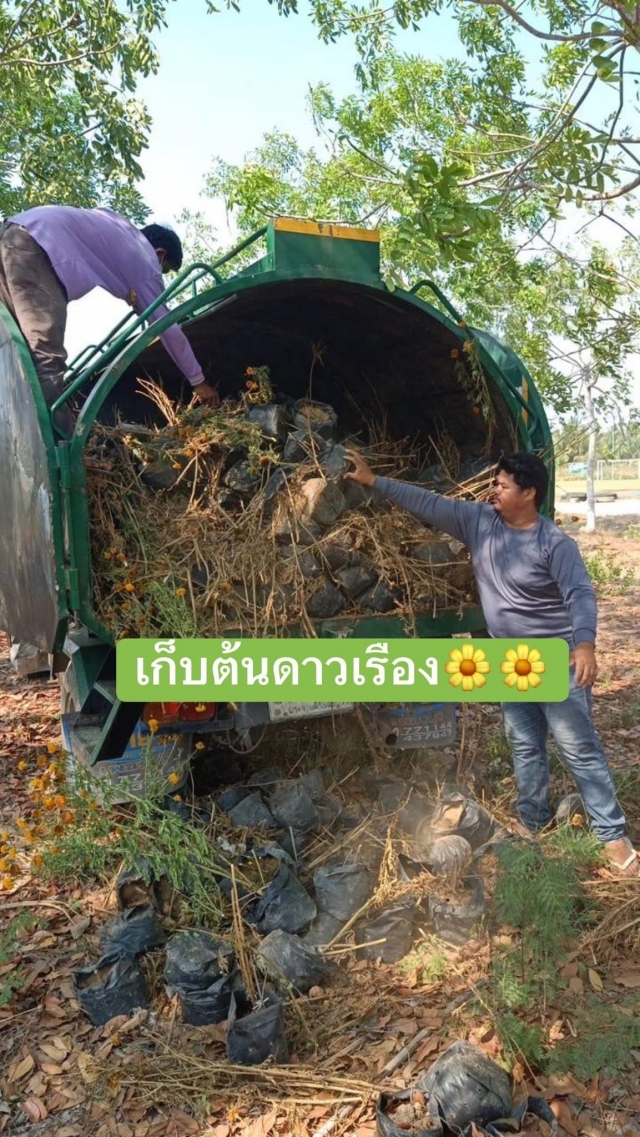 2-4-69 ดำเนินการพัฒนาสิ่งแวดล้อมและปรับปรุงภูมิทัศน์ภายในเขตเทศบาลฯ