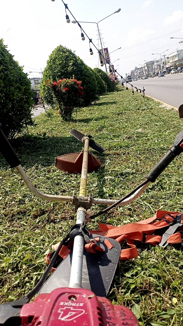 2พย.65 ตัดหญ้าเกาะกลางไร่ใหม่