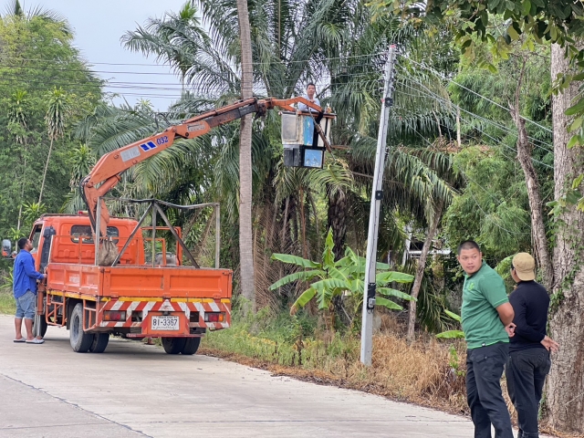 5-7-66 งานป้องกันฯ และช่างไฟฟ้า ตัดต้นไม้ล้มทับสายไฟ บริเวณเทศบาลไร่เก่า ซอย 15