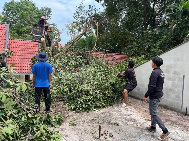 งานป้องกันฯ พร้อมทีมช่างไฟฟ้า พนง.กองสาธารณสุขฯ พนง.งานกองยุทธฯ ออกตัดต้นไม้หักโค่นเนื่องจากลมแรง 