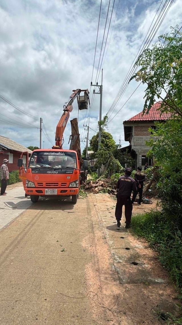 6-7-69 ดำเนินการตัดแต่งกิ่งไม้ที่บดบังเสาไฟฟ้าและสายไฟ (ชุมชนบ้านห้วยขมิ้น)