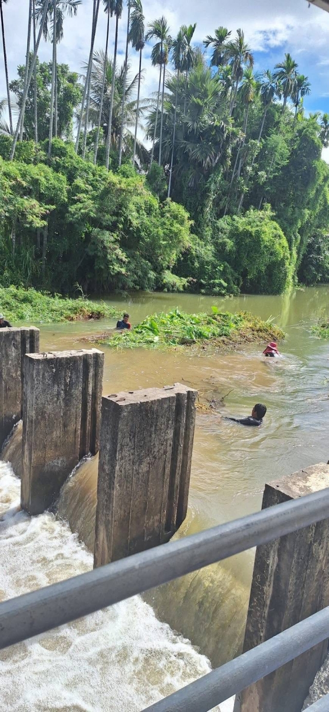 18-8-68 ดำเนินการนำผักตบชวาที่กั้นทางน้ำบริเวณฝายน้ำศาลาลัย