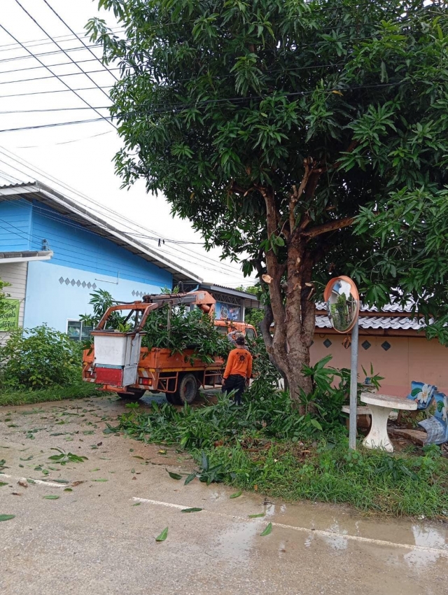 18-7-67 งานป้องกันฯงานไฟฟ้า ตัดแต่งต้นไม้ ที่เอนเข้าทาง ณ หมู่บ้านศาลาลัย เพื่อความปลอดภัยของประชาชน