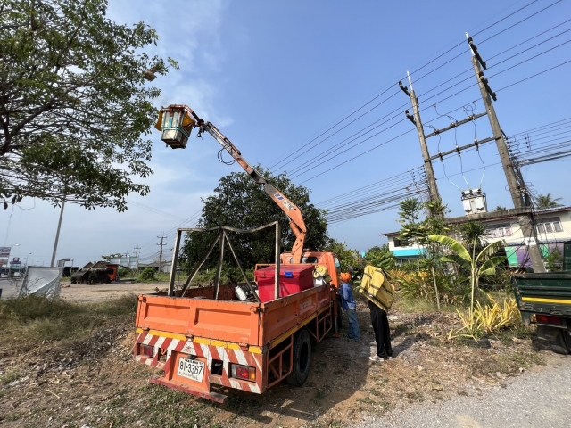 25-4-66 งานป้องกันฯ และช่างไฟฟ้า ดำเนินการกำจัดรังต่อ เพื่อความปลอดภัยของประชาชน