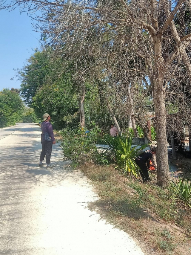 26-4-67 งานป้องกันฯ และช่างไฟฟ้า ตัดต้นไม้บริเวณบ้านประชาชน ซอย 11 , 26